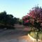 Camping Achakar