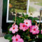 Boutique Hotel & Apartments Am Essigmanngut