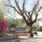 Domaine du Mas Foucray