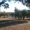 Mazet Des Baux De Provence