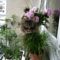 Bed & Breakfast Chez Claudine