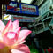 Nilawan Guesthouse